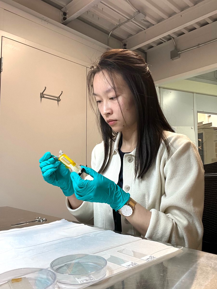 CanLightSource's tweet photo. Using the CLS, @UCalgary researchers studied #zinc in mouse brains. This research could help to better study conditions like #depression, autism, and schizophrenia in the future. Full story: https://t.co/PU3MyJ987P

@UCalgaryArts @HotchkissBrain @NSERC_CRSNG #ResearchInAction https://t.co/iz3wTAGOO1