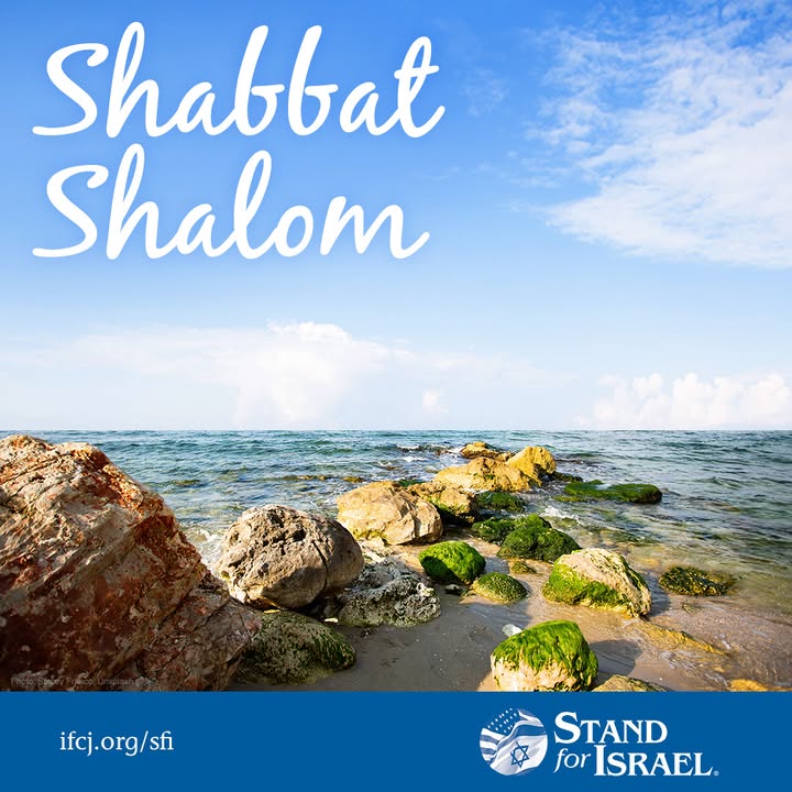 StandforIsrael tweet picture