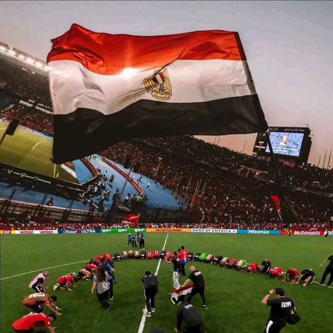 haidy__farouk's tweet photo. سكوت سكوت سكوت سكوت.. جت الملوك.. مبروك يا مصر مبروك يا بلدنا🇪🇬♥️ https://t.co/aamT3qEEv7