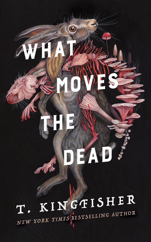 epeolatri's tweet photo. need more books like this https://t.co/BUWiKRKHLN