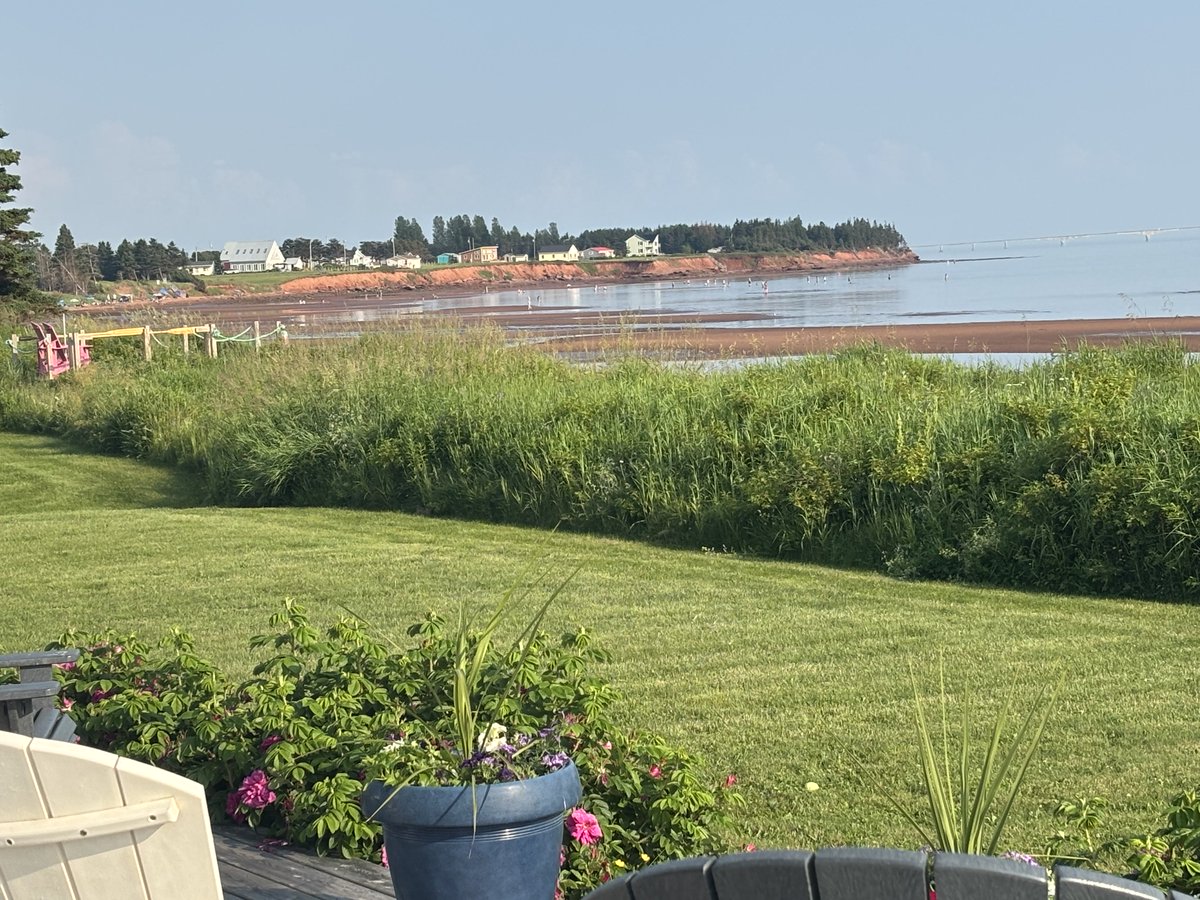 DougMaclean's tweet photo. Trying to relax on a beautiful beach day in PEI after Real Kyper and Bourne last show of year ! Lots of fun !! Thx to all who watched ! https://t.co/jVi5F3NYi3