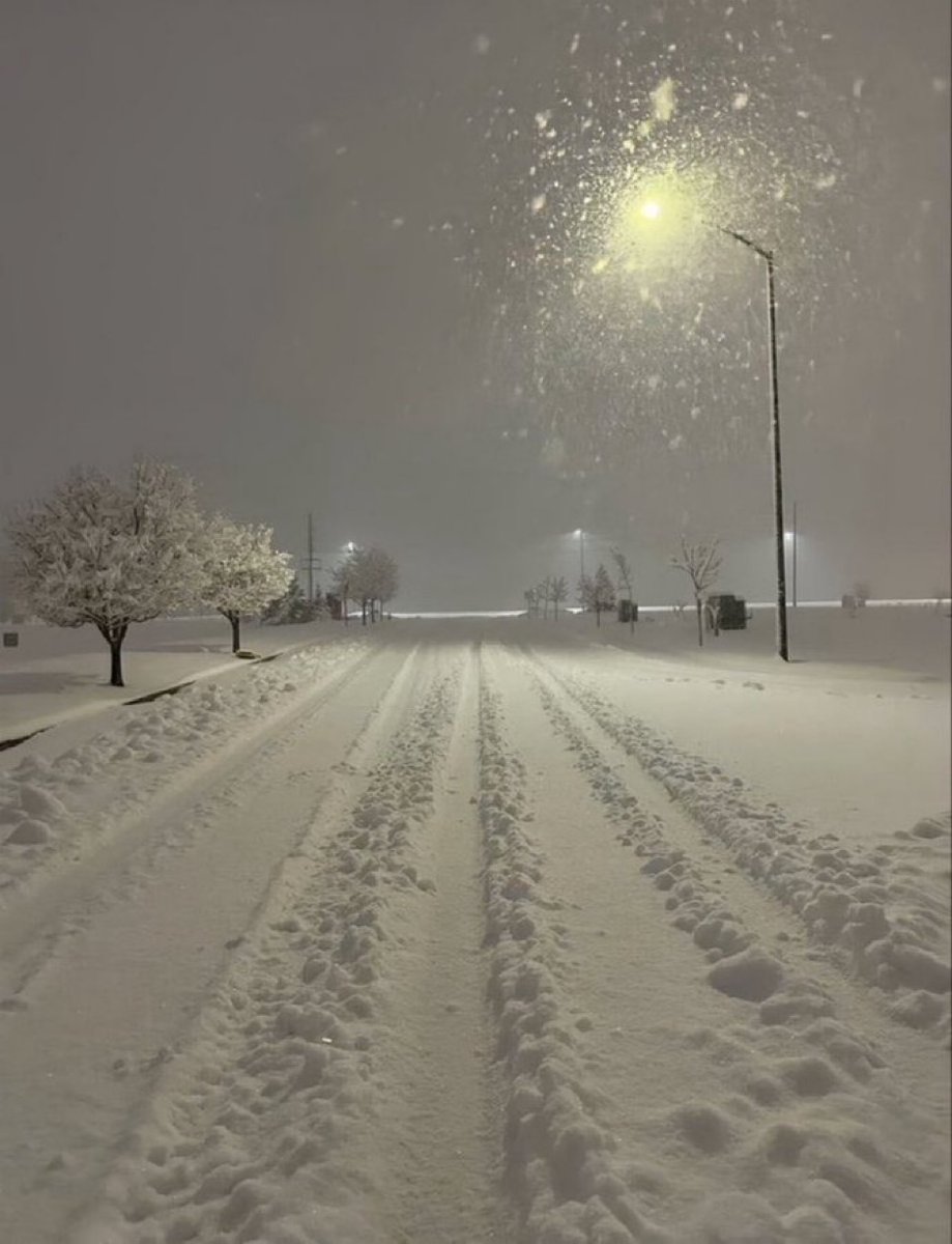 melunax_18's tweet photo. En sevdiğim mevsim her yer beyaz saf sokaklar boş sessizlik ve huzur elinde kahve kitap yanan sobanın sıcaklığı bu mevsim başka bir evre❄️
Peki senin mevsimin hangisi? https://t.co/r8HMHiUAOF