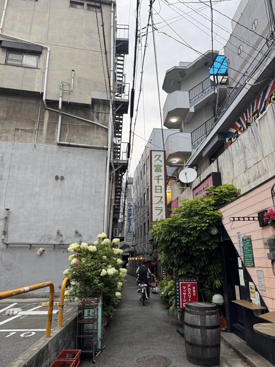 retro_future193's tweet photo. いい朝ですね https://t.co/ukiBIlWzGN