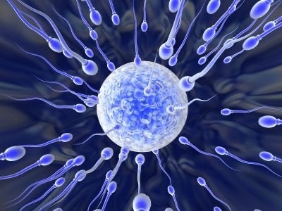 forallcurious's tweet photo. DID YOU KNOW🚨: The probability of you being born was about 1 in 400 trillion https://t.co/sFoDkhZ0BH