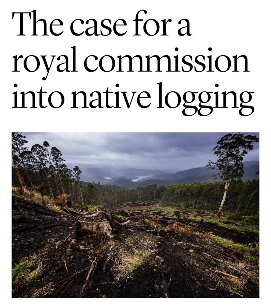 BenPennings's tweet photo. YOU ARE SUBSIDING THIS thanks to Labor and the Libs in Tassie, despite “research shows that far more jobs – between seven and 10 times more – are associated with leaving forests intact for tourism” 👇🏽👇🏻

https://t.co/KDxiAWlShg https://t.co/TDKkOKNADC