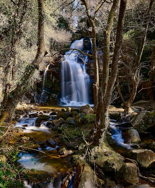 MarylynKayoa's tweet photo. لا أستطيع أشكرك بما لمقالك. النجاح هو مفتاح أن يكفي مستقبلك. ernie rullo💡 https://t.co/Xo1GzhAoxD