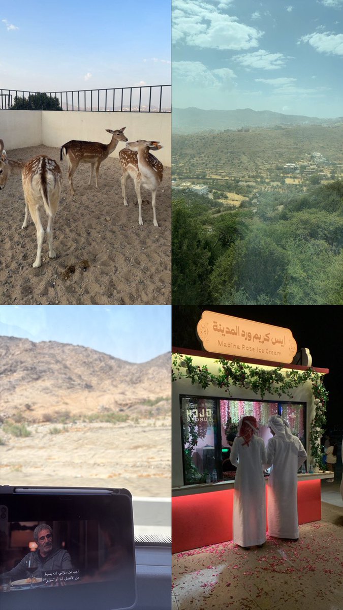 i7memo's tweet photo. 🌟 Welcome to Al Baha 🌟 https://t.co/dGG0BcJUnT