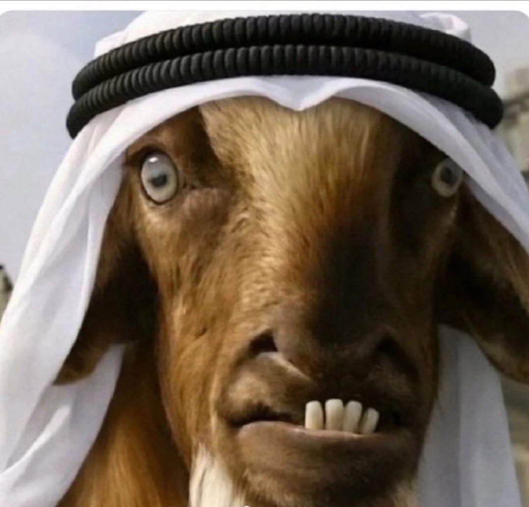 Paarsa17's tweet photo. @uae_parza صح كلامك https://t.co/KB359D5oxY