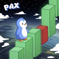 Nazape01's tweet photo. @paxonsol @solana @toly $pax season https://t.co/xes3b9meuI