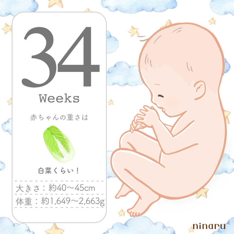 evmixa's tweet photo. 34wに入りました👶🏻👶🏻︎💕︎
2人の名前も決まったので一安心😌
でもまだまだ赤ちゃん用品足りてないから早く買わないと～！😫💦
もうご飯作るのもやっとなので、この先は全部ネットに頼ります𛰙᭜𖫴𖫰𖫱𖫳𖫲𖫲𖫳𖫴𖫰𖫱꛰ ᭜𖫴𖫰𖫱𖫳𖫲𖫲𖫳𖫴𖫰𖫱꛰♡
目標の37wを無事に迎えられますように🍀🤍 https://t.co/fOeFdM5aDw