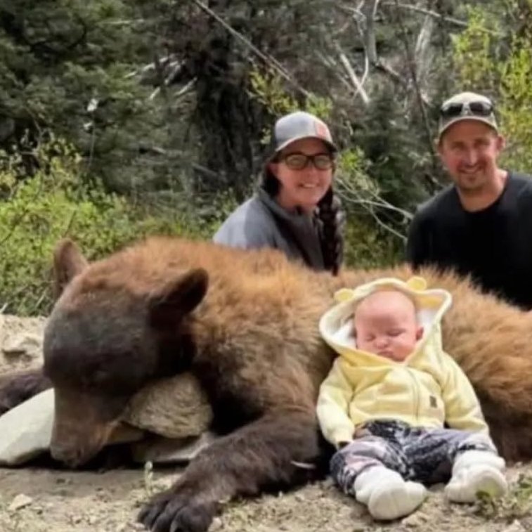 ruben_prz's tweet photo. No, no es normal colocar s ti bebé posando con el oso al que has arrebatado la vida.

Tenéis un problema. GORDO. https://t.co/Grnv2OiRB4
