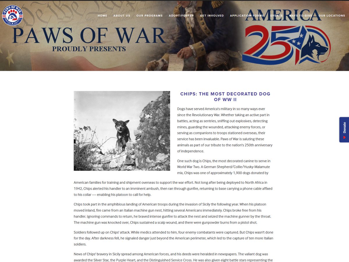 manAlanDevil's tweet photo. AMERICA 250 JUST POSTED A DOG ON THEIR WEBSITE

It's name is "Chips" and is the most DECORATED DOG IN THE WORLD

He was a dog in WW2 and now he's being honored on their website, this is giga no??

https://t.co/qm7POKrxhk https://t.co/Bf4W6caoCG