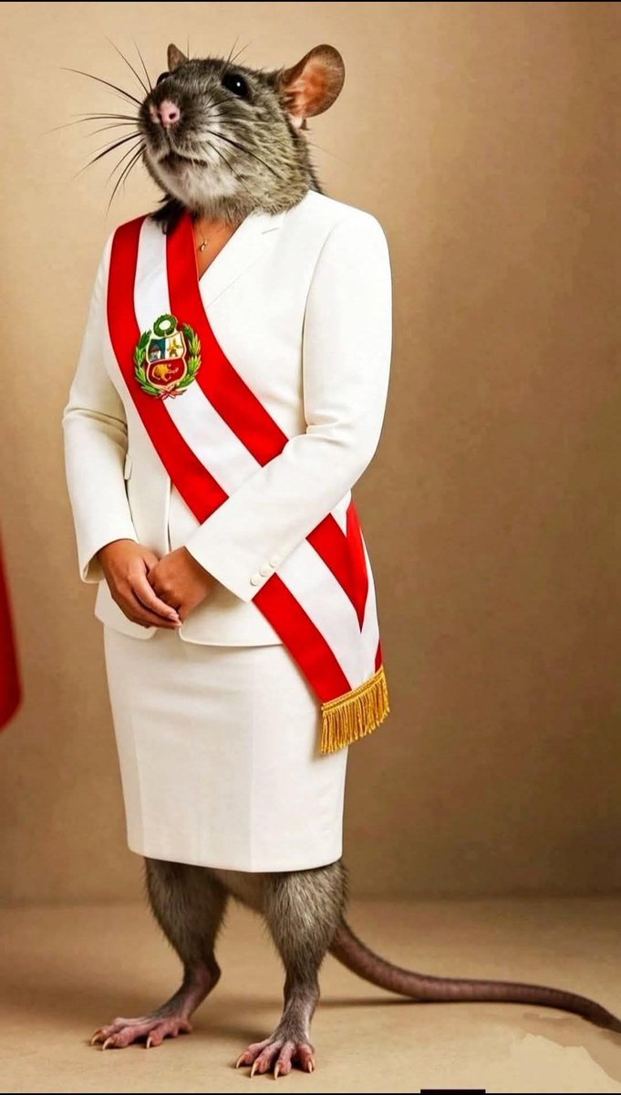 felipemedinavm's tweet photo. @Guerola_53 Gracias a él los peruanos de bien nos enteramos cn objetividad y tmbn nos solidarizamos con Gorriti https://t.co/u57WfNVHyg