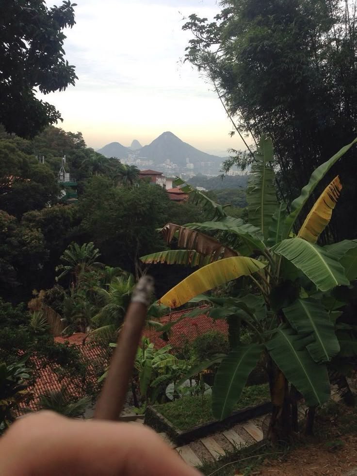 backriz_dub's tweet photo. Therapy 💨✨ https://t.co/e3hHIcuRf5