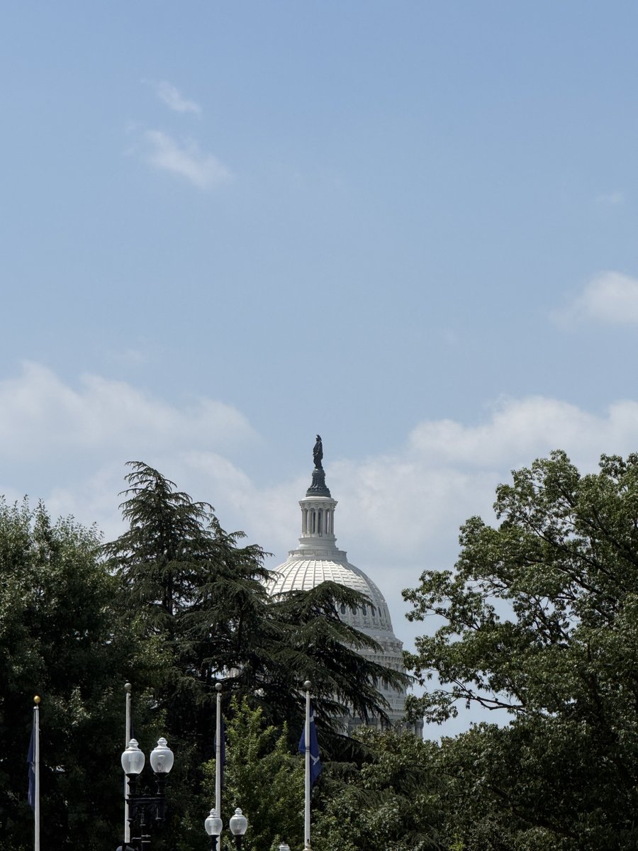 Andrew31488675's tweet photo. This is Washington DC. https://t.co/k9xeyrckXE