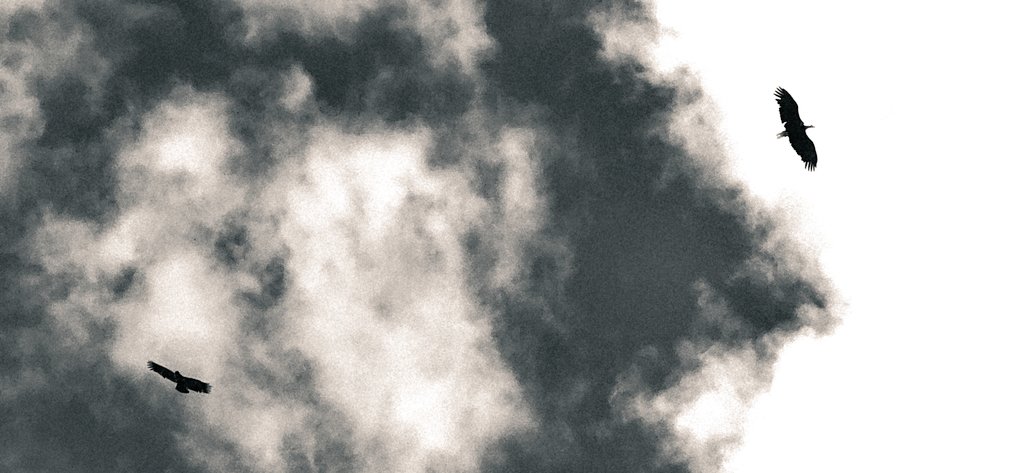 Dave37530840210's tweet photo. thoughts of you drifting into my sky https://t.co/deqtO8T5JG