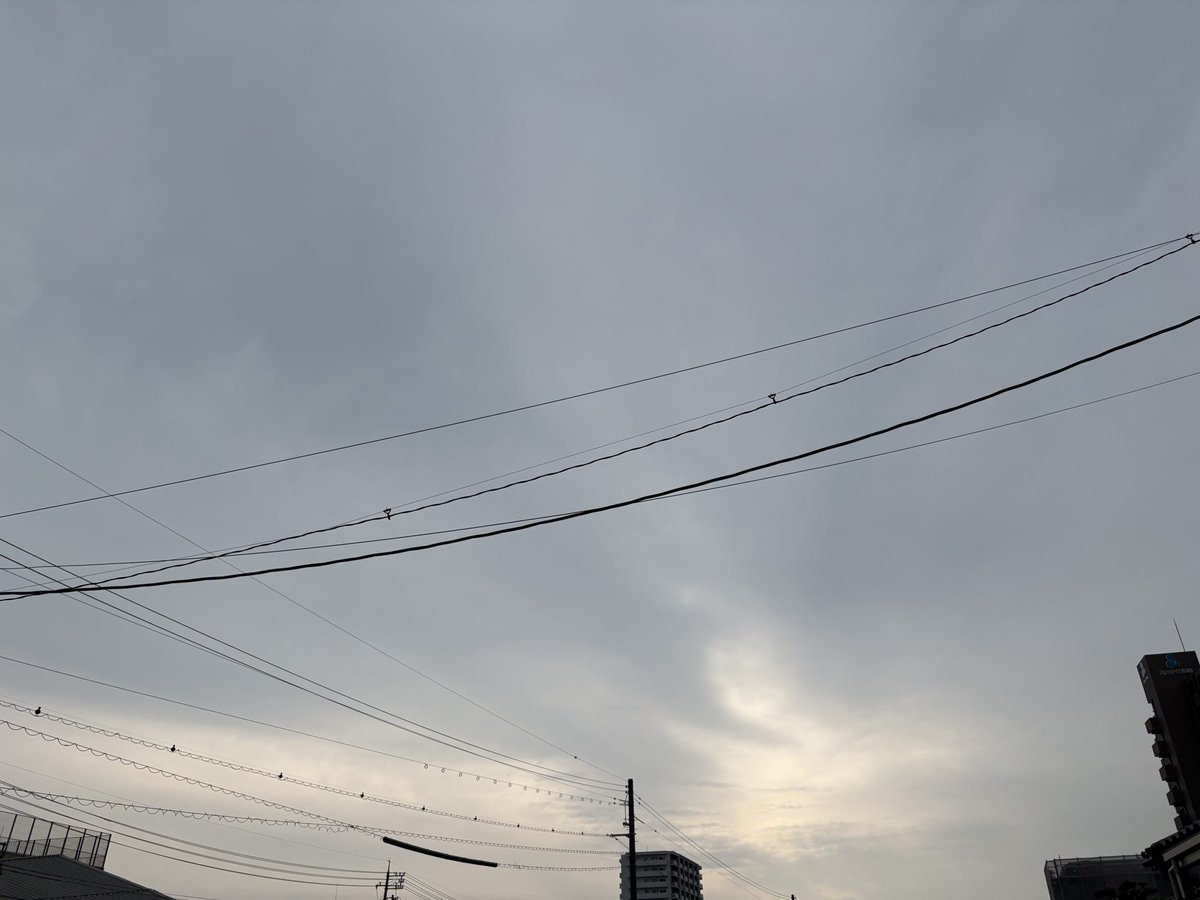 taro__eni's tweet photo. なんだもう朝かと https://t.co/e5agfl714l