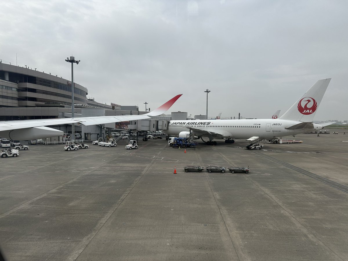 tohme76's tweet photo. Now boarding!!✈️
FLT No : JL305
DEP : HND
ARR : FUK
A/C Reg : JA04XJ
A/C Type : A350-900

2026年FLT回数カウント : 11

#たっつーFLT_LOG https://t.co/zCteQ5fBfB