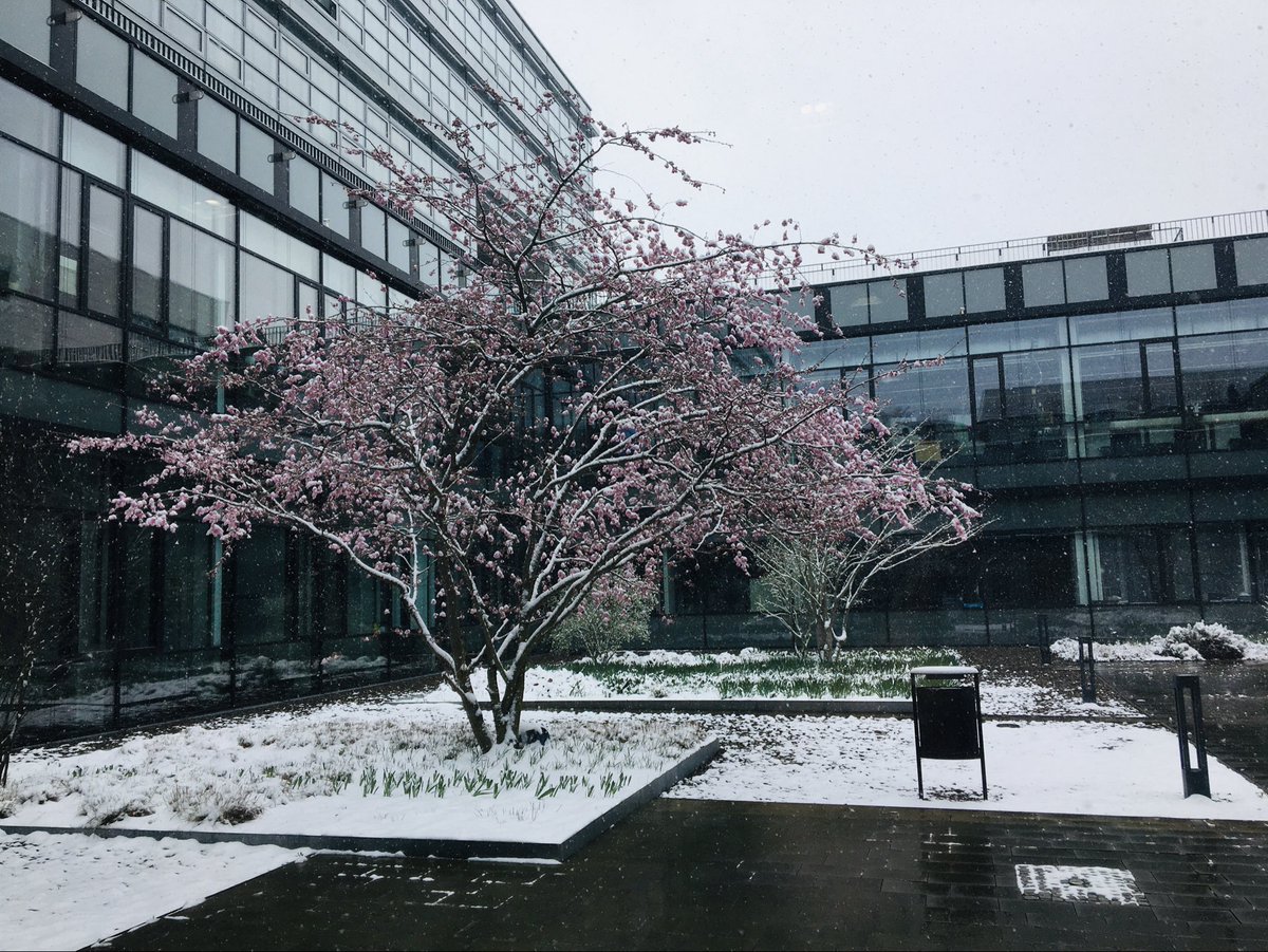mayukh_panja's tweet photo. This is where I did my PhD - the Max Planck Institute für Sonnensystemforschung (Solar System Research) in the lovely city, or should I say town, of Göttingen where all of modern day Physics was discovered. https://t.co/gAWF4VMu6S
