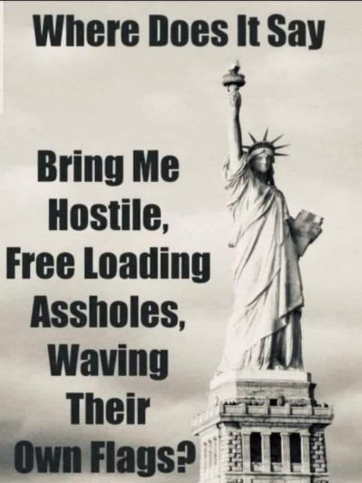 AmericaFirstSpy's tweet photo. @JamieBonkiewicz Sure, but they came in legally, didn’t freeload or shout death to America. You get dumber by the day. https://t.co/EUiuzO0hpZ