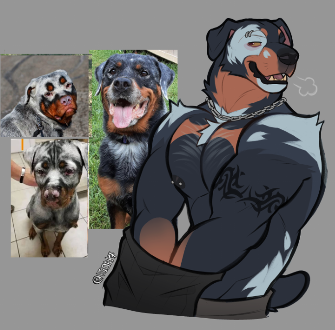 _igor_K7's tweet photo. ❄️- Vitiligo Rottie!! 🐶
(open pre-bids) https://t.co/RDGLyCu996