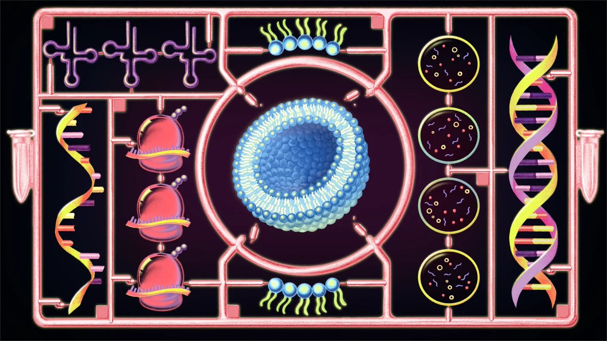 For the First Time, a Cell Built From Scratch Grows and Divides ...