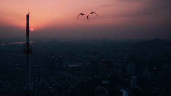 Lucio_Ferrar's tweet photo. #SoloLeveling #SungJinWoo #Arise #ShadowMonarch #chahaein https://t.co/tjLT78ZsBH
