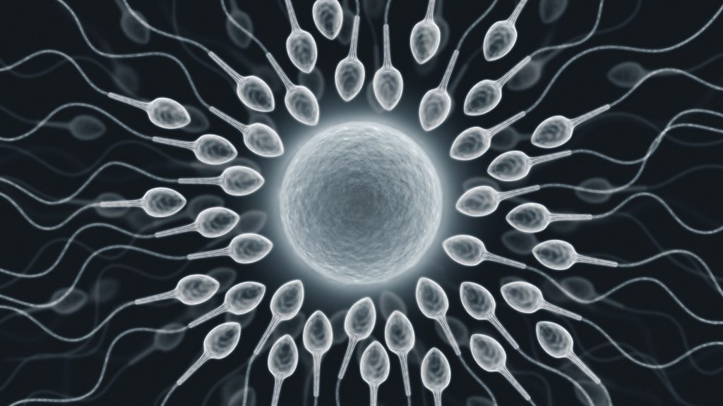 NightSkyToday's tweet photo. DID YOU KNOW🚨: The Probability of you being born was about 1 in 400 Trillion. https://t.co/gkHuDLCb7m