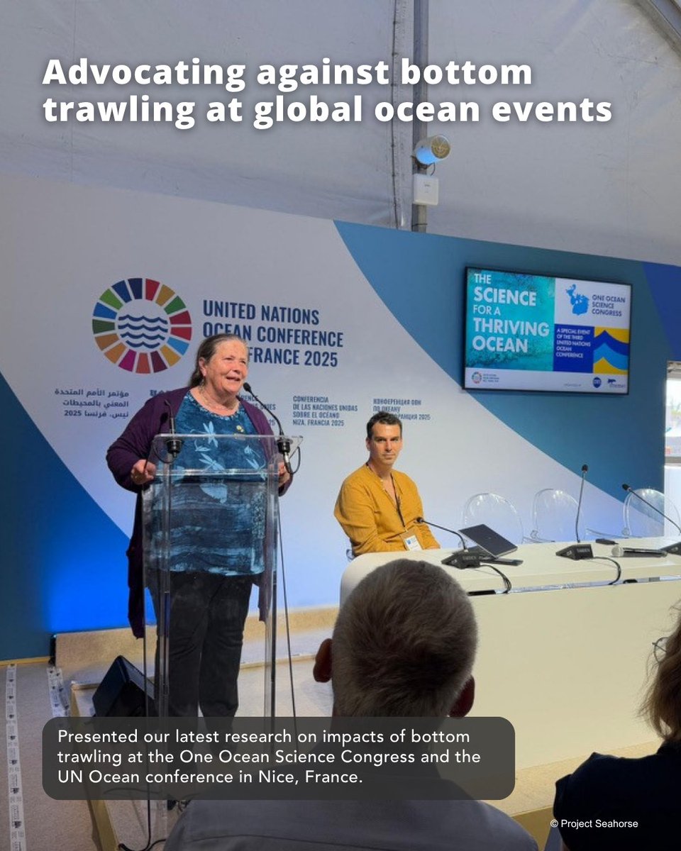 projectseahorse's tweet photo. 🌊  #ICYMI Our 2025 Achievements report is out! From Mexico to Indonesia, we worked with partners around the world to turn science into real-world conservation for seahorses and their seas! Full report here: https://t.co/gehB8dhXys  

#ProjectSeahorse #SavingSeahorses https://t.co/qDB8B0Ef9y