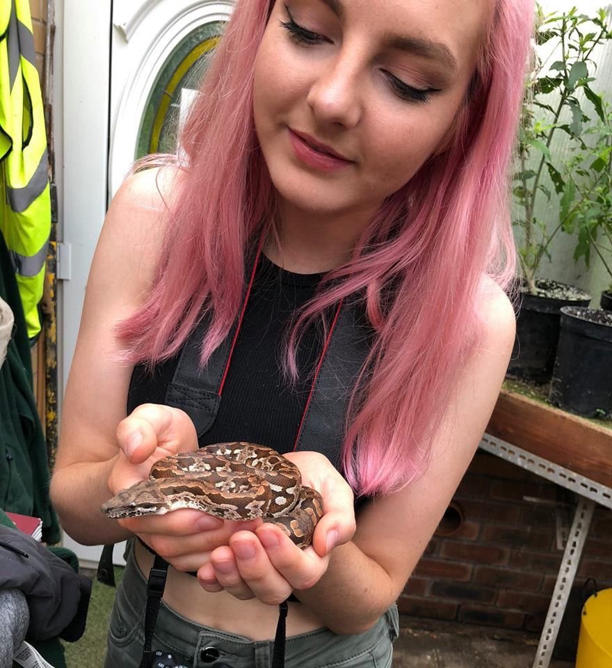 ldshadowlady As Cats tweet media