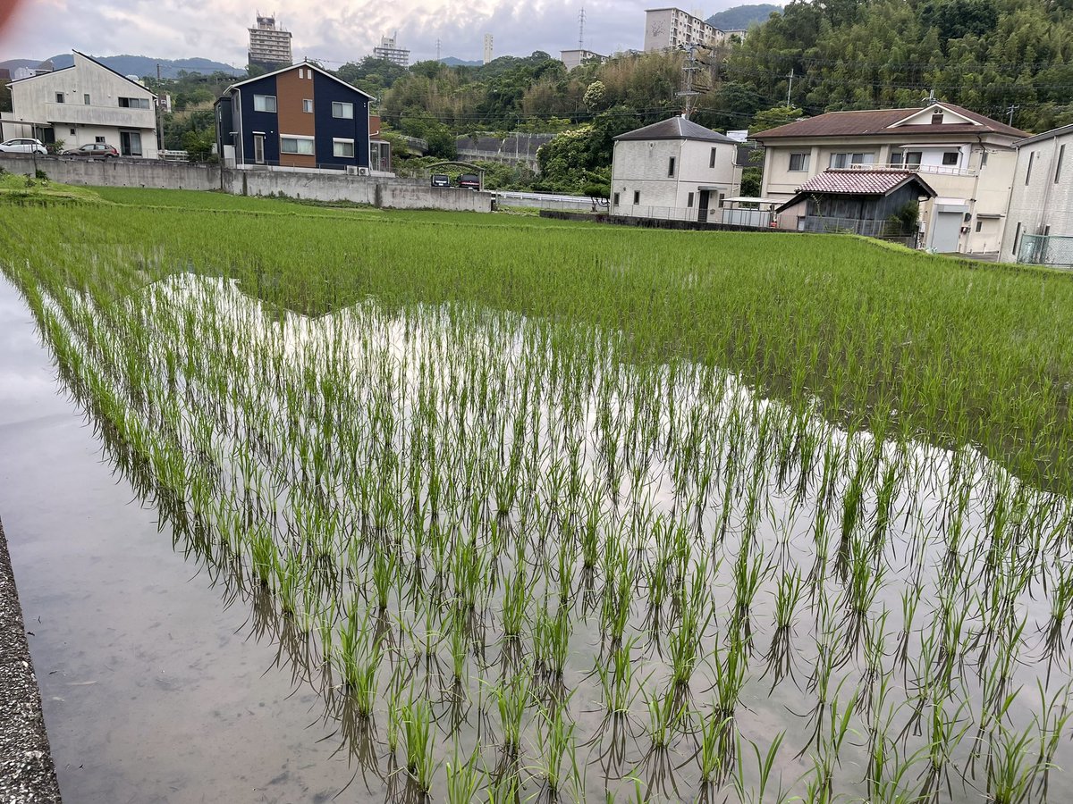 beerrunner31's tweet photo. 朝ラン🏃‍♂️‍➡️
雨が降る前にサクッと。
この週末は、事務仕事と闘います。 https://t.co/3V9YIiWfda