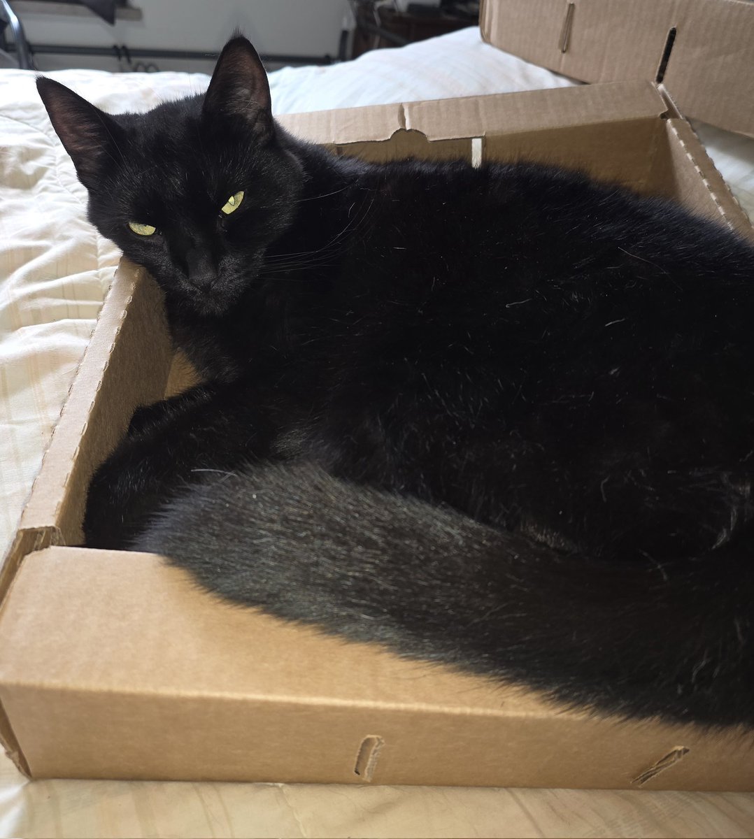 BakerPatriot's tweet photo. This is MY box. Get your own. https://t.co/cKCeikTIAi