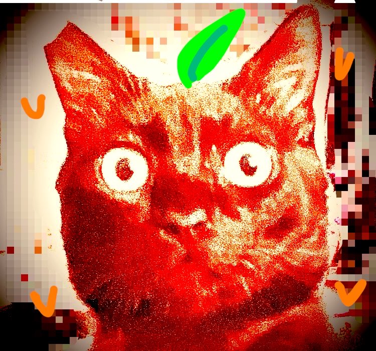 𝘞𝘦𝘯𝘴𝘥𝘢𝘺★𝘍𝘰𝘳𝘦𝘷𝘦𝘳 tweet media