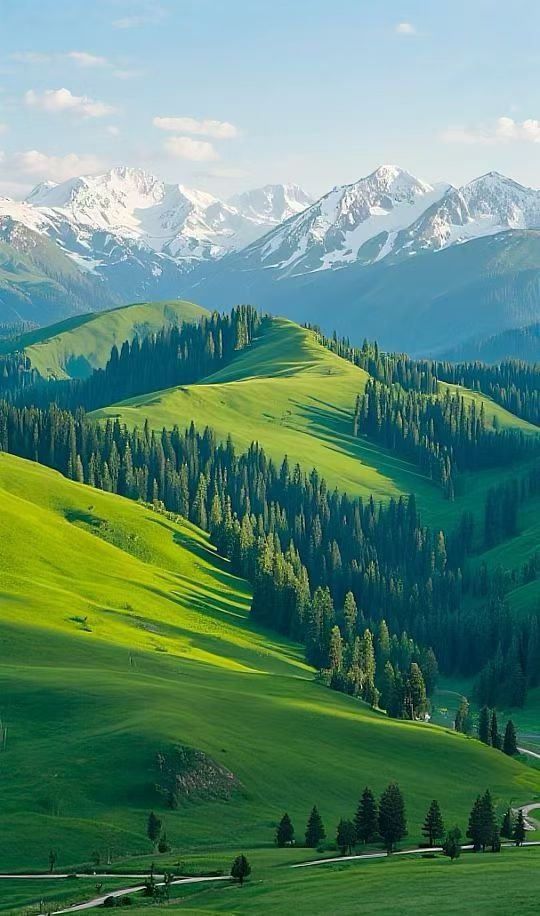 ZHULIN968's tweet photo. Stunning natural scenery of Xinjiang: lush alpine grasslands stretch beneath snow-covered Tianshan Mountains, a breathtaking gift of nature.
#BeautifulChina #TianshanMountains https://t.co/pD1pyssgtD