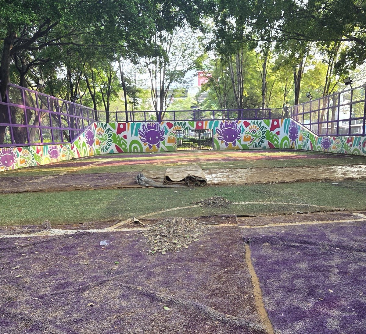ciclomaniac's tweet photo. Aun no llegamos al 5to partido y nuestra ajolocancha recien remodelada por @ClaraBrugadaM @SOBSECDMX esta inutilizable. Cambiaron cemento por pasto sintético y ya se hizo un chiquero 😪 https://t.co/nmOIcavVkz