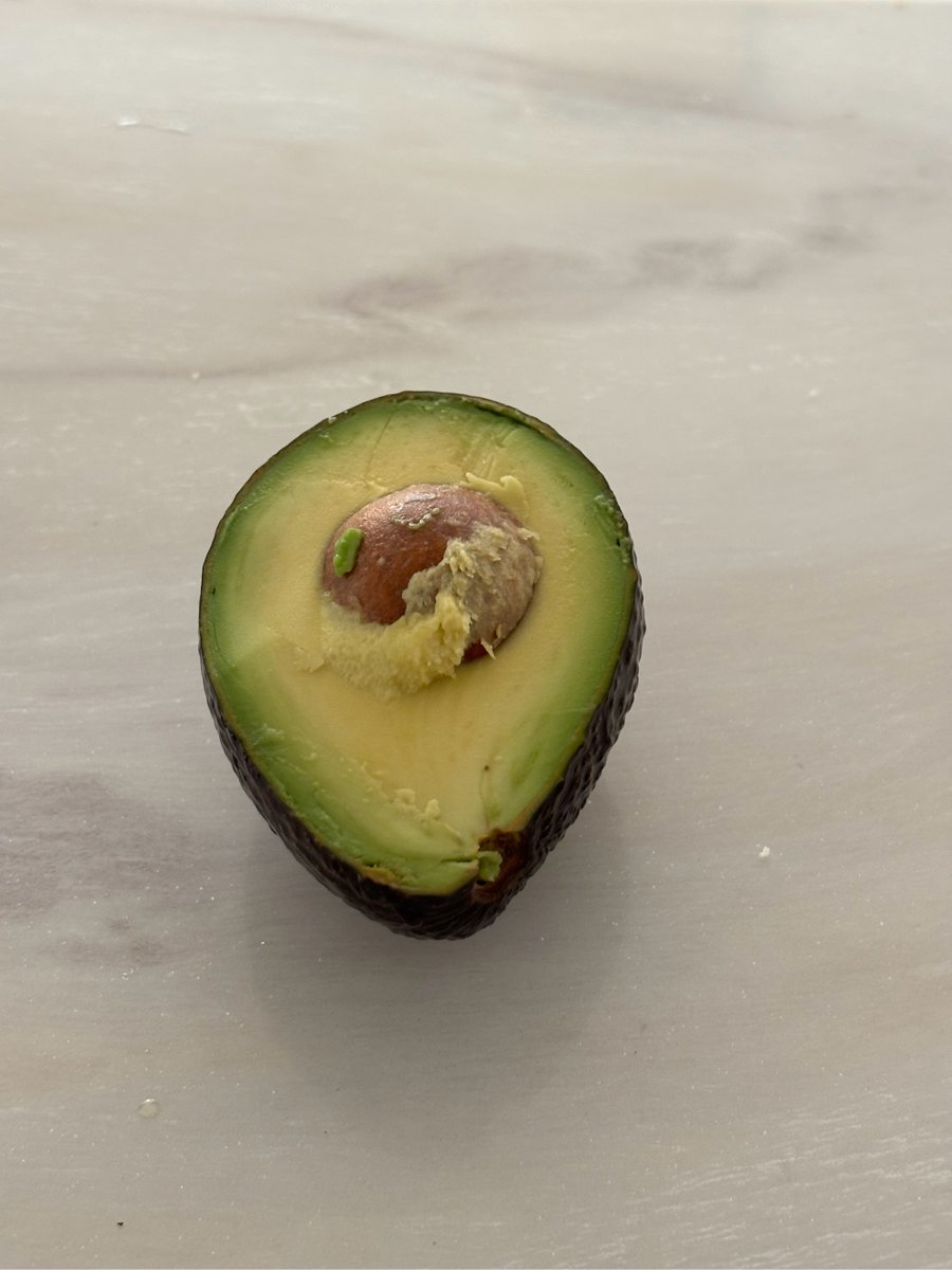 Reginal98618894's tweet photo. Just whipped up creamy avocado toast with a sprinkle of chili flakes and a poached egg for a quick 10-minute weekday meal—simple, satisfying, and way better than takeout! https://t.co/RFgeiCUoPL