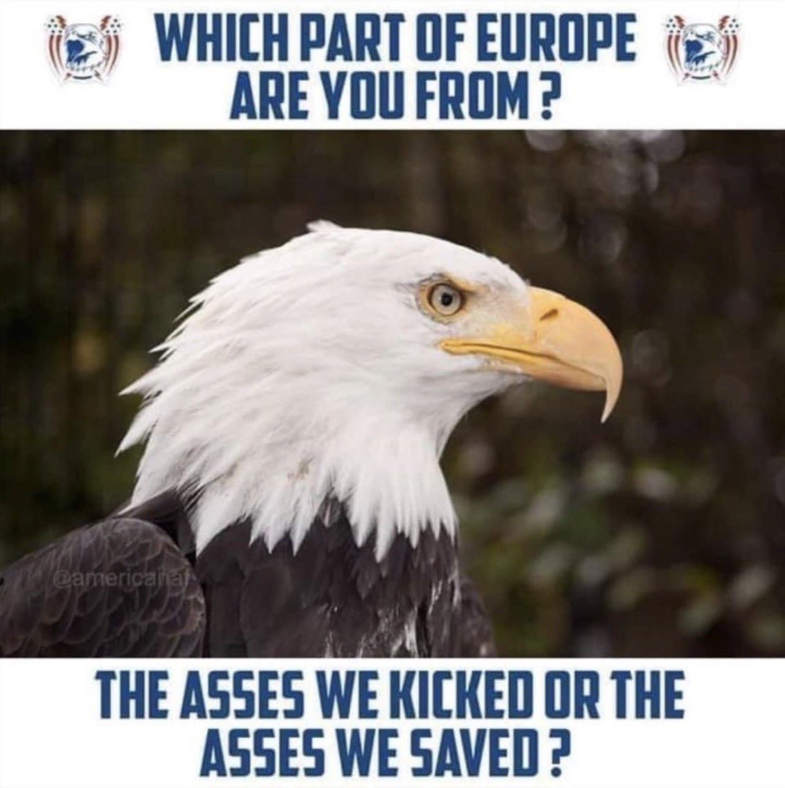 yankee_chef's tweet photo. @AMazzeppa @PolitiBunny @severo_michele https://t.co/AUWD2F3NP2