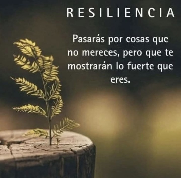 Averiao's tweet photo. Bon cap de setmana / Buen fin de semana. https://t.co/Ms8bBWd5lc