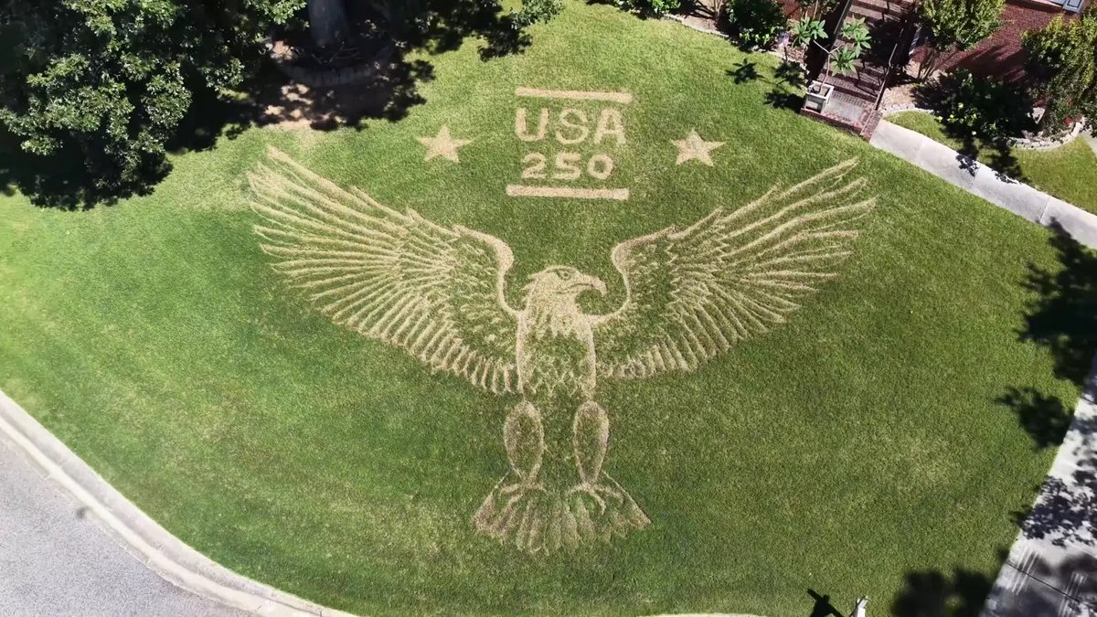 TheCalvinCooli1's tweet photo. 📰 New: An Alabama homeowner has transformed his front lawn into a patriotic display celebrating America 250, featuring a massive bald eagle mural https://t.co/REbmxOysPl