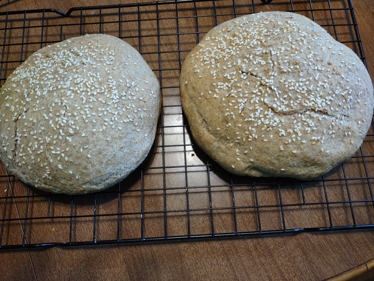 Bonkzy123's tweet photo. Flattened chicken breast and homemade buns for the best chicken sandwich https://t.co/w04CmIx1TW
