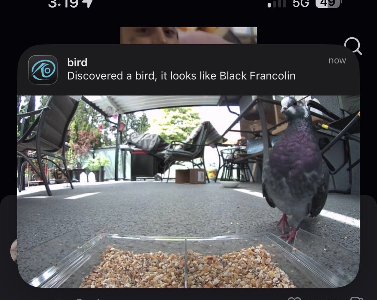 enthusedbybirds's tweet photo. bro https://t.co/3al8so9pWM