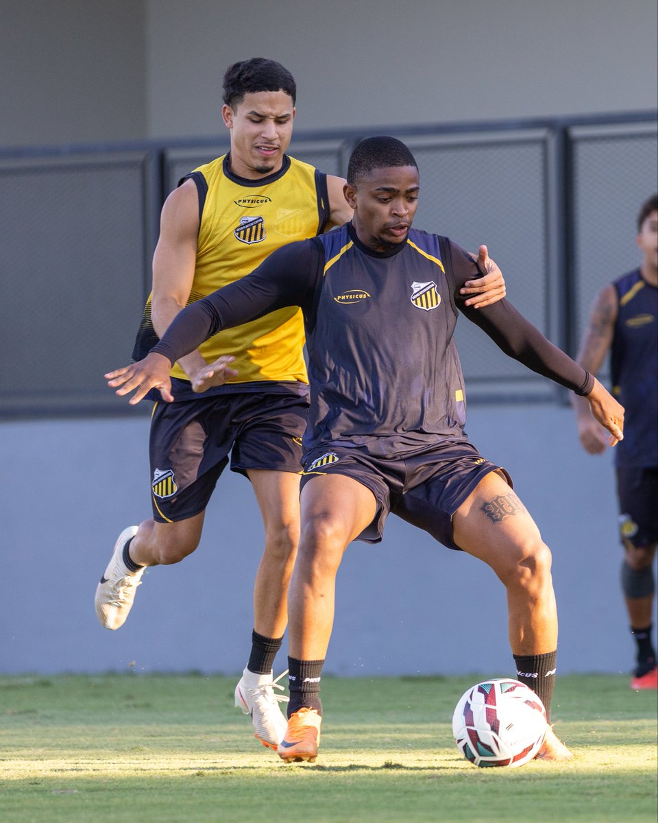 novorizontino's tweet photo. 🟨⬛️Preparação finalizada! 👊🏽🐅
Está tudo pronto para o confronto contra o Atlético-GO, pelo @brasileiraob, no Jorjão!

📸 Juan Rodrigues / Novorizontino 

#PaixãoPeloNovorizontino #PraCimaNovorizontino #BrasileirãoB https://t.co/cR5NvMoKeP