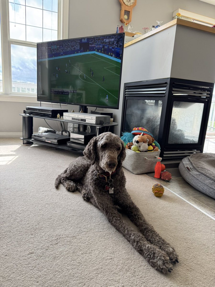 Ryan_the_Spoo's tweet photo. Watching Messi try to move his team to the next round. #spoo #worldcup https://t.co/2JacXpPnRM