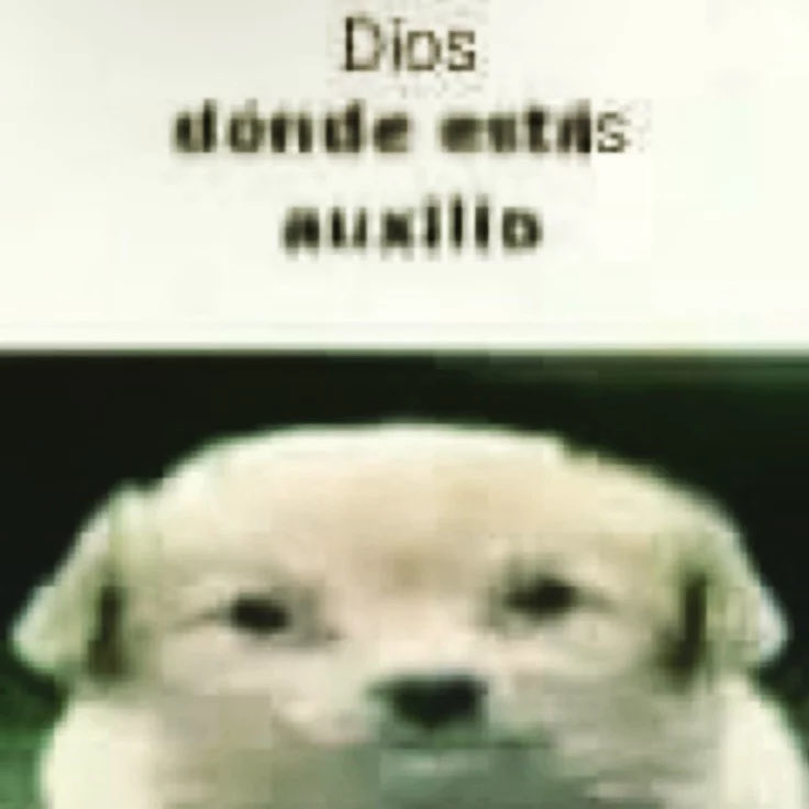 Papipopetao's tweet photo. Yo cuando dicen trabajos en equipo::: https://t.co/qDcB756lq5