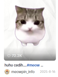 xirii_sol's tweet photo. don't get fudded out, name IS and HAS been $meowpin

account has been posting since 2025, waaaaay before it even became viral on douyin. https://t.co/fJ4Mhqh1m9