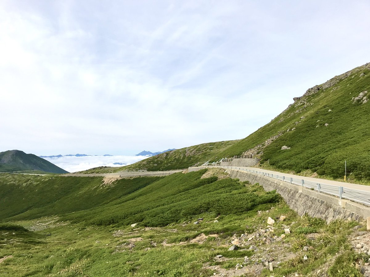 echelonvelo's tweet photo. #TreeLine #Timberline #ForestLimit #SeaOfClouds #Norikura #Japan #RoadBike #GravelBike #乗鞍エコーライン #雲海 #森林限界 #乗鞍 #ロードバイク #グラベルバイク #自転車 https://t.co/AL8fOyEn1J