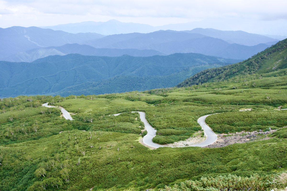 echelonvelo's tweet photo. #TreeLine #Timberline #ForestLimit #Norikura #Japan #RoadBike #GravelBike #乗鞍エコーライン #雲海 #森林限界 #乗鞍 #���ードバイク #グラベルバイク #自転車 https://t.co/g47Rkd0Uri