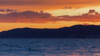 Azure_Myst's tweet photo. mallorca 🧡💙 https://t.co/F6S6ZxdJAP