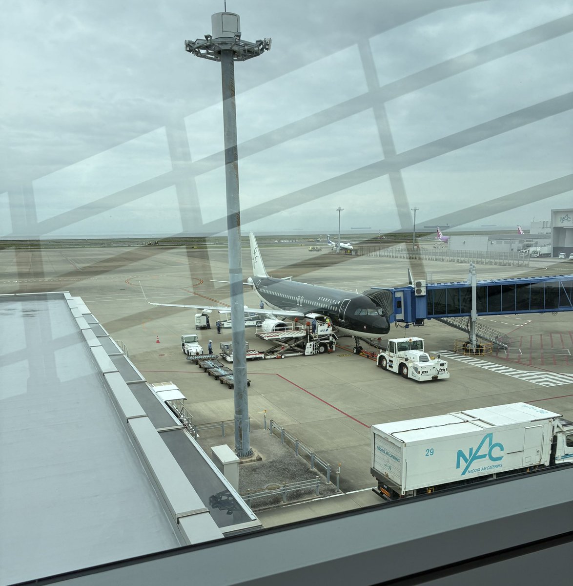 keya11ki14wave's tweet photo. 今日は旅に出ます✈️
（ミーグリもいきます） https://t.co/Ij5jjXhzXL