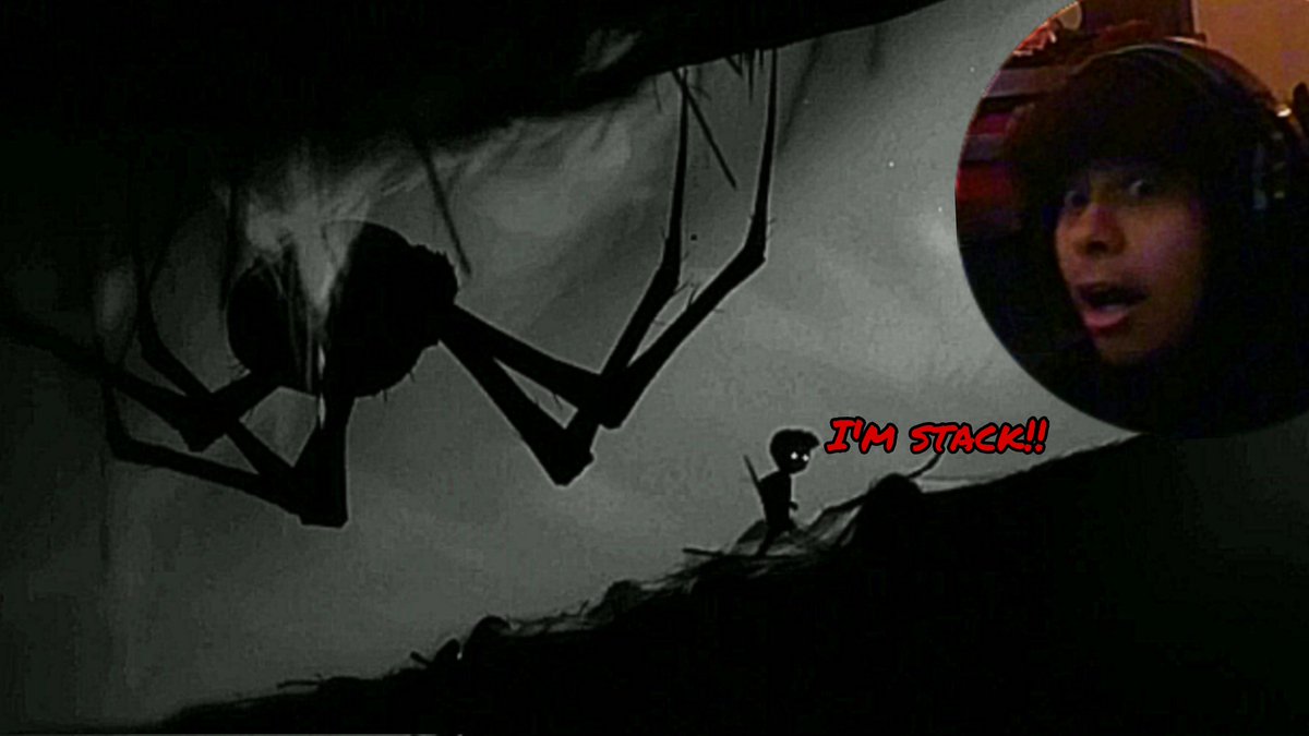 castro1560t's tweet photo. If you like spiders ur crazy..new video is out 🕷🕸 https://t.co/ufn5OGwAVa